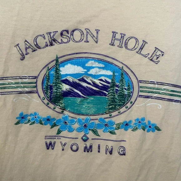 Vintage Single Stitch Tee Anvil Jackson Hole Wyoming T-Shirt XL - Picture 3 of 6